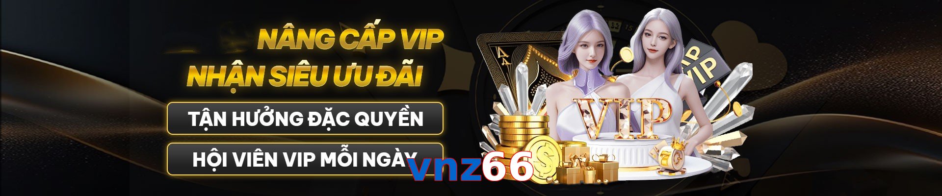 vnz66