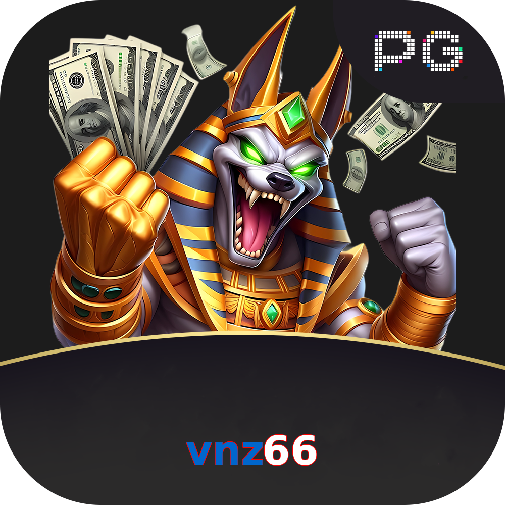 vnz66